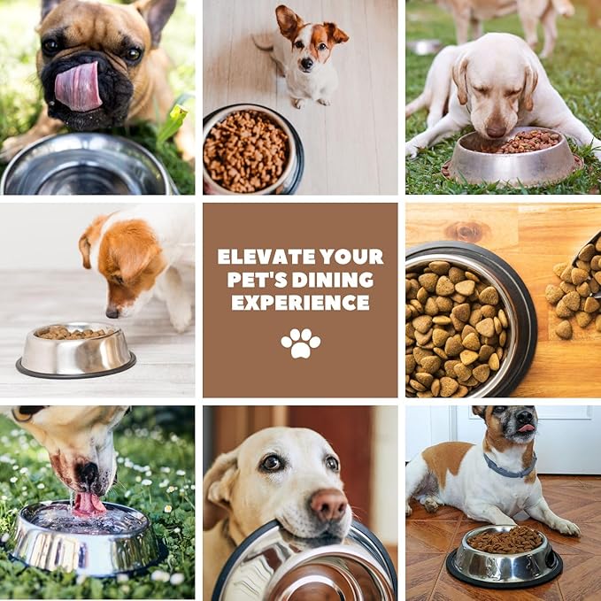 Flexzion Stainless Steel Dog Bowl No Mess Non Spill Dog Water Bowl Rubber Base Dog Bowls for Medium Sized Dog, Food and Water Dish, Pet Food Holder, 22 cm