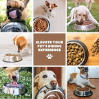 Flexzion Stainless Steel Dog Bowl No Mess Non Spill Dog Water Bowl Rubber Base Dog Bowls for Medium Sized Dog, Food and Water Dish, Pet Food Holder, 22 cm