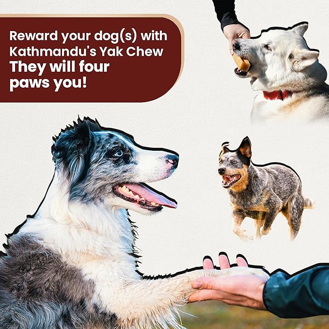KATHMANDU'S Authentic Yak Cheese Himalayan Dog Chews Large (Pack of 4) - All Natural High Protein Dog Treats Per Chew, Delicious & Long Lasting for Aggressive Chewers | Odor & Gluten Free Chews