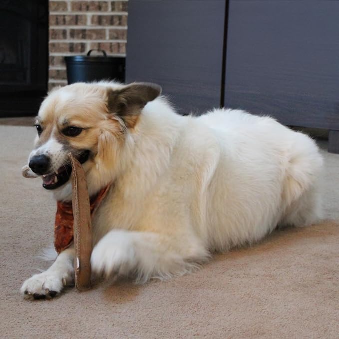 SPOT Dura-Fused Leather Retriever Dog Toy – Real Leather & Jute Fabric, Double-Stitched & Durable, Squeaky Interactive Tug Toy with Rope Handle for Moderate Chewers, Soft Stuffed Fetch Toy, 15in