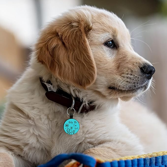 MYLUCKYTAG QR Code Silicone Dog & Cat ID Tag - Online Pet Profile, Location Alert Email, Digital Pet Tag - Quiet & Durable