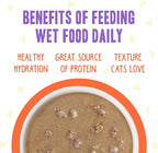 Weruva B.F.F. OMG - Best Feline Friend Oh My Gravy!, Chicken & Salmon Shine Bright with Chicken & Salmon in Gravy, 2.8oz Pouch (Pack of 12)