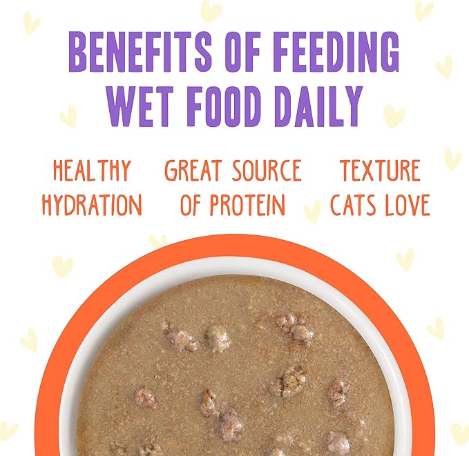 Weruva B.F.F. OMG - Best Feline Friend Oh My Gravy!, Chicken & Salmon Shine Bright with Chicken & Salmon in Gravy, 2.8oz Pouch (Pack of 12)