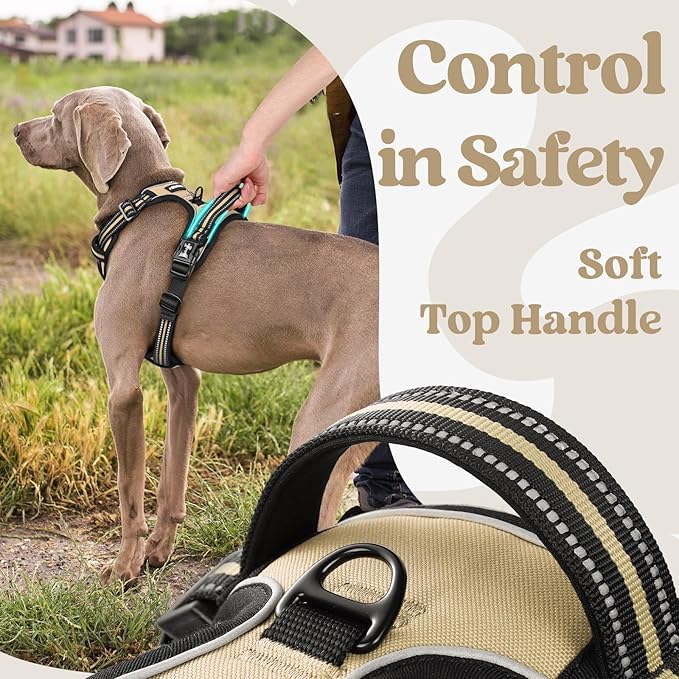 rabbitgoo Dog Harness Small Sized, No Pull Pet Harness with 3 Buckles, Adjustable Soft Padded Vest with Control Handle, Walking Reflective Pet Vest for Small Dogs, Beige, S
