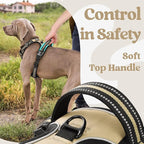 rabbitgoo Dog Harness for Large, No Pull Pet Harness with 3 Buckles, Adjustable Soft Padded Vest with Control Handle, Walking Reflective Pet Vest for Extra Large Dogs, Beige, XL