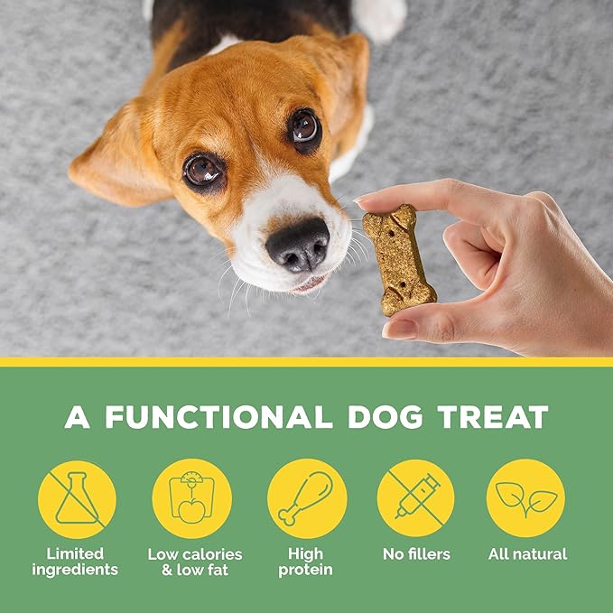 Brutus Bone Broth Biscuits (Chicken) - Healthy Dog Treats - Natural Biscuits with Dog Bone Broth and Real Chicken Meat - 18 Grams of Protein - 8 OZ (Pack of 6)