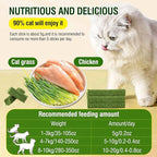 120g/4.23oz Cat Grass Teething Stick Hairballs,Chew Sticks for Cats,Catnip Toys Sticks Indoor Kitten Chew Stick