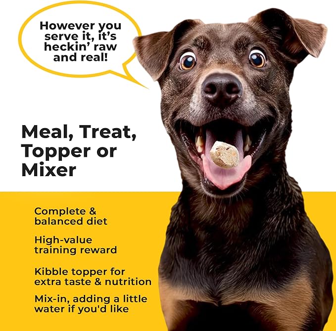 Chonky Chicken - Freeze Dried Raw Dog Food, Complete Meal, Real Cuts of Chicken for Training, Meal Topper, High Protein, 21g Per Cup, Made in The USA, 8oz Bag