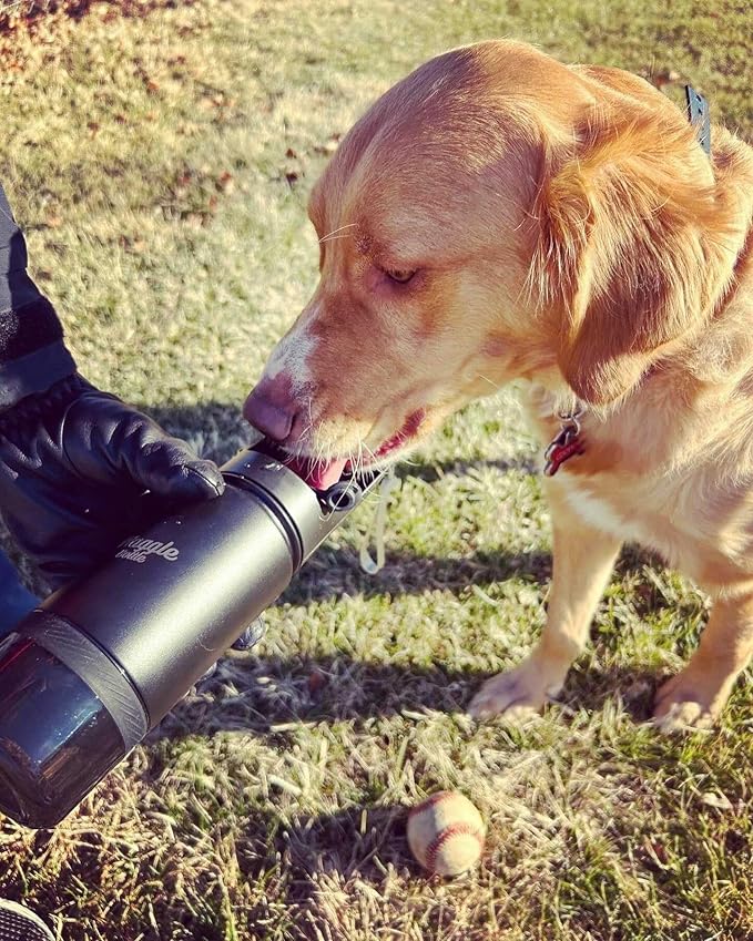 Stainless Steel Dog Travel Water Bottle, Vacuum Insulated Portable Dog Water Dispenser, Drink Cup and Snack Container On The Go, Outdoor Walking, Hiking, Travel (Pink)