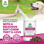 Doggie Dailies Skin & Coat Supplement + Antioxidant Support, 225 Soft Chews, Salmon Oil for Dogs Skin and Coat with Collagen, Omega 3, Krill Oil, Biotin, & Coconut Oil for Dogs (Salmon)