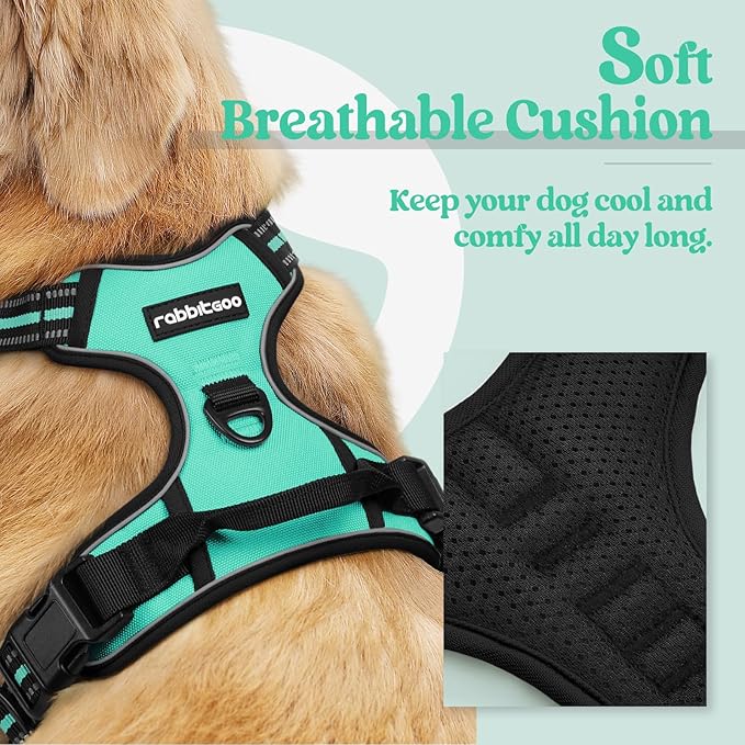 rabbitgoo Dog Harness No Pull with 2 Leash Clips, Adjustable Soft Padded, Reflective Oxford No Choke Pet Vest with Easy Control Handle for Small Dogs, Turquoise, S