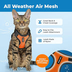 Voyager Escape-Proof Step-in Lock Cat Harness & 5ft Neoprene-Handle Leash Set All-Weather Mesh with Reflective Stitching for Small to Large Cats by Best Pet Supplies, Black Trim-Orange (327), S