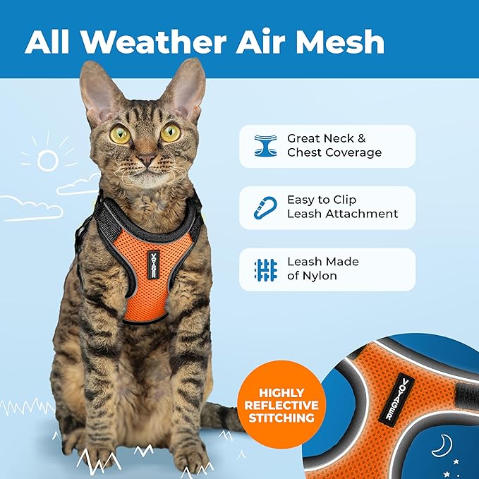 Voyager Escape-Proof Step-in Lock Cat Harness & 5ft Neoprene-Handle Leash Set All-Weather Mesh with Reflective Stitching for Small to Large Cats by Best Pet Supplies, Black Trim-Orange (327), XXS