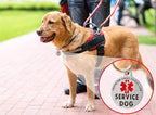 Service Dog Tag Double Sided with Federal Protection & Red Medical Alert Symbol | 1.25 Inch Durable Pet ID Tags | Easily Attach to Collar, Harness, Vest | Service Dog Identification Tag