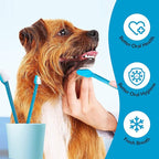Boshel 3 Pc Dog Toothbrush Kit - 2 Dog Tooth Brush + Small Dogs Finger Toothbrush - Pet Tooth Brush for Dogs - Puppy Tooth Brushes for Small Breed & Large, Best Tooth Brushing Kit