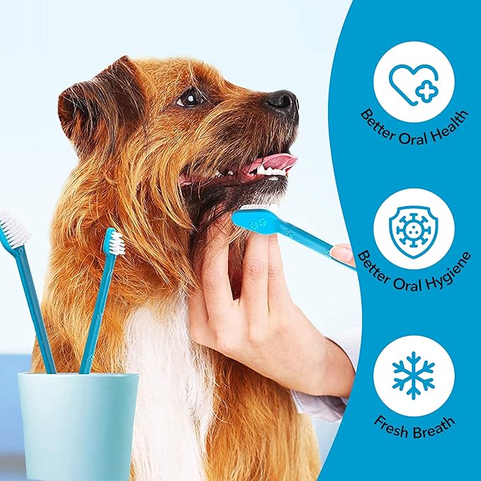 Boshel 3 Pc Dog Toothbrush Kit - 2 Dog Tooth Brush + Small Dogs Finger Toothbrush - Pet Tooth Brush for Dogs - Puppy Tooth Brushes for Small Breed & Large, Best Tooth Brushing Kit