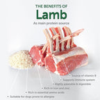 Nature's Protection Dry Dog Food for Small Breed - High Protein Tear Stain Diet for White & Light Fur Adult Dogs - Small Bites Kibble (Superior Care - Lamb and Rice, 22 lb)