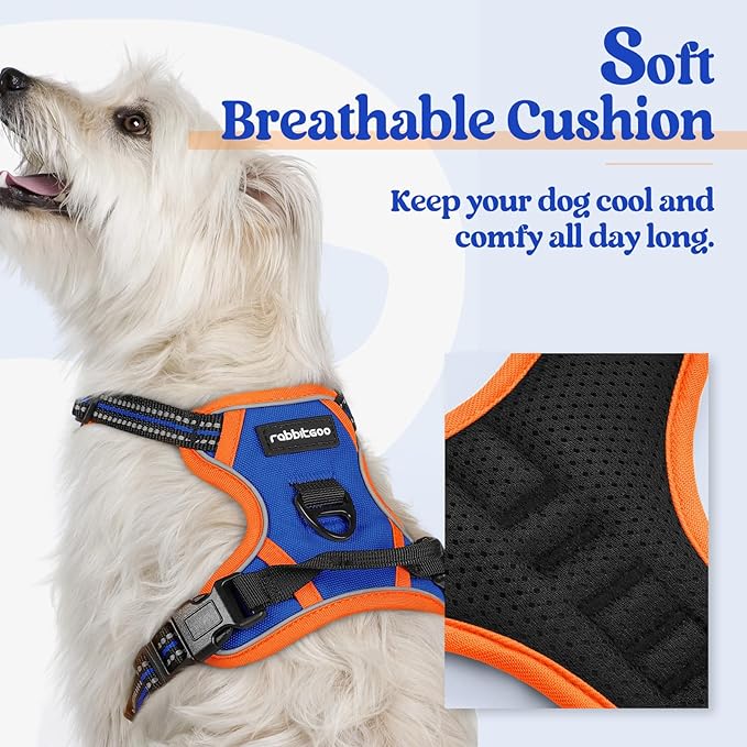 rabbitgoo Dog Harness No Pull with 2 Leash Clips, Adjustable Soft Padded, Reflective Oxford No Choke Pet Vest with Easy Control Handle for Puppy, Blue & Orange, XS