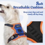rabbitgoo Dog Harness No Pull with 2 Leash Clips, Adjustable Soft Padded, Reflective Oxford No Choke Pet Vest with Easy Control Handle for Puppy, Blue & Orange, XS