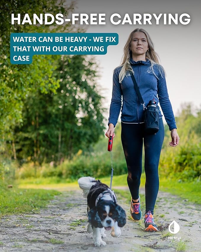 Dog Water Bottle Insulated Dog Travel Water Bottle Stainless Steel Pet Water Bottle Dispenser Portable Food and Water Bowl for Dogs with Carrying Case for Walking Dog Travel Kit… (Green Blue, 32 oz)