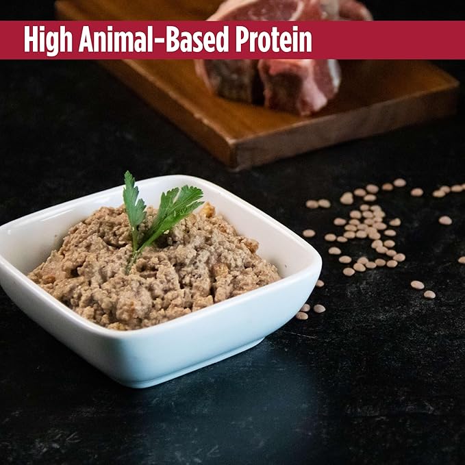 Nulo Beef & Lamb Recipe Pate Wet Canned Cat Food, 5.5 Ounce (Pack of 24)