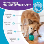 Outward Hound Double-Tuff Stuffable Dog Toy, Medium 4-Inch Green - Treat Dispensing Chew Ball for Small to Medium Dogs, Interactive Puzzle for Enrichment & Slow Feeding