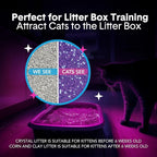 Boxie® Glo™ 30 Day Odor Control Clumping Clay Cat Litter, 40 lb, Multi-Cat, 99.9% Dust-Free, Low Tracking, UV Light Attractant, Superior Clumping for Easy Scooping