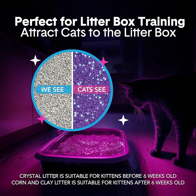 Boxie® Glo™ 30 Day Odor Control Clumping Clay Cat Litter, 16 lb, Multi-Cat, 99.9% Dust-Free, Low Tracking, UV Light Attractant, Superior Clumping for Easy Scooping