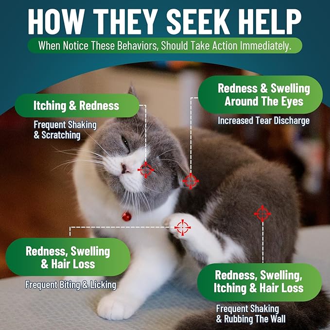 200 Natural Cat Allergy Relief Chews, Cat Itchy Skin Allergy Relief & Immune Support Chews for Seasonal Allergies Cats, Itch Relief for Cats Paws, Eyes, Ears, Stop Licking & Scratching, Chicken Flavor