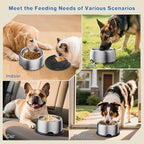 304 Stainless Steel Dog Bowls, Heavy Duty Dog Food Bowl with Extra Strong Non-Slip Mat, Thick Metal Base Water Bowl with Lick Mat for Small, Medium, Large Dogs, Indoor/Outdoor (19.8 oz)