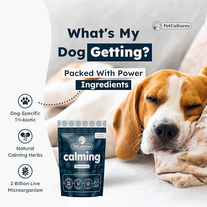 Calming Synbiotic Formula - with L-Theanine, L-Tryptophan, Probiotics, and B-Vitamins in 30 Packs