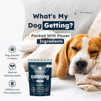 Calming Synbiotic Formula - with L-Theanine, L-Tryptophan, Probiotics, and B-Vitamins in 30 Packs