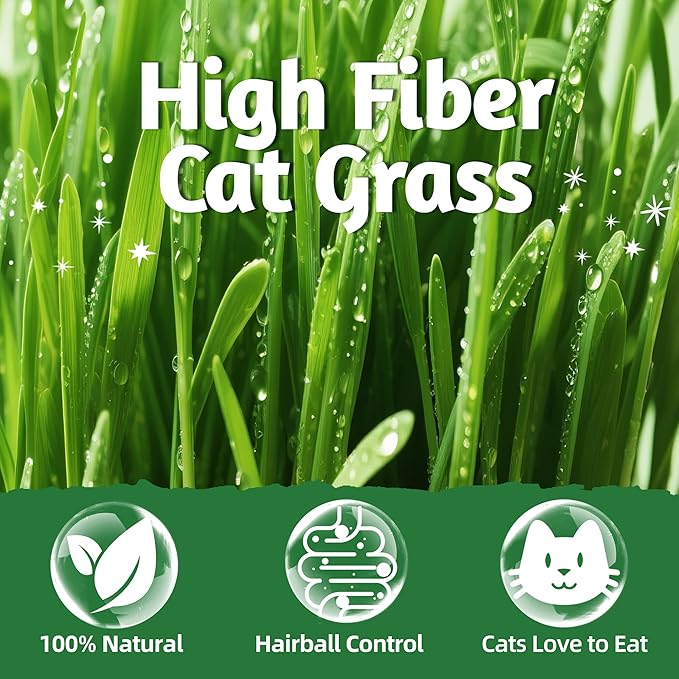 Just Try 8 oz Cat Grass Treats Freeze Dried Cat Food Toppers Mixers Hairball Control Low Calorie Real Chicken Egg Yolk Dental Care Healthy Cat Snacks Treats for Indoor Cats