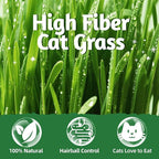 Just Try 8 oz Cat Grass Treats Freeze Dried Cat Food Toppers Mixers Hairball Control Low Calorie Real Chicken Egg Yolk Dental Care Healthy Cat Snacks Treats for Indoor Cats