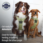 Doggie Design Venture Paw No Pull Dog Harness - Simple Adjustable Puppy Harness - Anti Pull Dog Collar for Walks and Outdoor Adventures - Aspen, XL