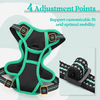 rabbitgoo Dog Harness No Pull with 2 Leash Clips, Adjustable Soft Padded, Reflective Oxford No Choke Pet Vest with Easy Control Handle for Puppy, Black & Turquoise, XS