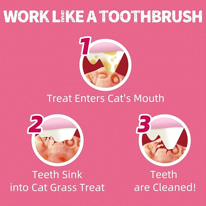 Just Try 13.4 OZ Urinary Tract Cat Treats for Indoor Cats Health Supplement Cranberry & D-Mannose for Kidney Bladder UT Support Salmon Flavor Crunchy Chews Cat Loves