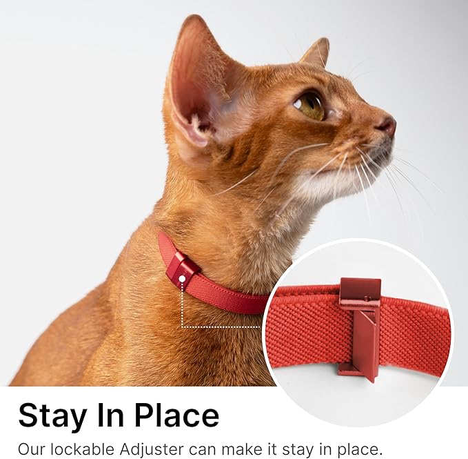 Safety Cat Collar Pro, Lightweight Elastic Release Non Breakaway Cat Collar Adjustable with Snap Fastener for Kitten All Small Large Cats, US IDA Gold Award (Monet Purple, S 5.9-11.8")