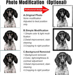 Personalized Pet Memorial Stones, Memorial Plaque for Pets, Dog, Cat, Black Granite Memorial Garden Stone Engraved with Photo, Dog Memorial Grave Markers Pet Memorial