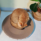4 Pack Extra Large Cat Scratcher Cardboard, Round Scratcher Bed Scratch Bowl, Scratching Lounge Couch Round Shaped Cat Scratch Board Nest for Indoor Cats Furniture Protector