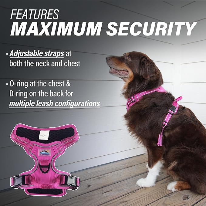 Doggie Design Venture Paw No Pull Dog Harness - Simple Adjustable Puppy Harness - Anti Pull Dog Collar for Walks and Outdoor Adventures - Wild Raspberry, XL