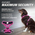 Doggie Design Venture Paw No Pull Dog Harness - Simple Adjustable Puppy Harness - Anti Pull Dog Collar for Walks and Outdoor Adventures - Wild Raspberry, XL