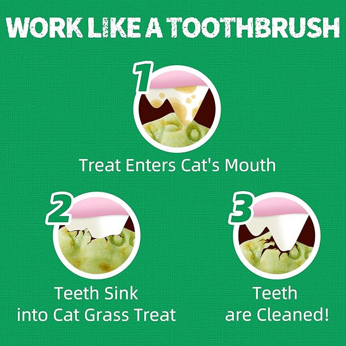 Just Try 13.4 OZ Crunchy Cat Treats Catnip Treats for Cats with Digestive Support, Natural Ingredients Kitten Treats with Real Salmon, Healthy Feline Snacks Training Biscuits Dental Care