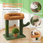Cactus Cat Scratching Posts for Indoor Cats, Sisal Cat Scratcher with Play Ball, 20”Small Cat Tree Tower and Mushroom Scratch Post for Kitten, Green