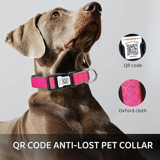 Personalized Dog Collar with QR Code tag for pet ID, Reflective Safety Collar, Suitable for Small, Medium, and Large Dogs (Rose Red, Small)