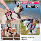 rabbitgoo Escape Proof Dog Harness, Soft Padded Full Body Pet Harness, Reflective Adjustable No Pull Vest with Lift Handle and Leash Clip for Large Dogs Walking Hiking Training, S, Pink