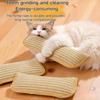 Catnip Toys for Indoor Cats - Cat Toys Pack of 3, Sisal Scratching Pad, Bite Resistant Kitten Teething Toys, Interactive Cat Nip Kicker Toys for Anxiety Relief