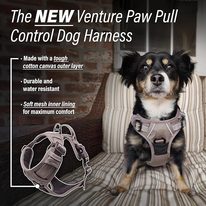 Doggie Design Venture Paw No Pull Dog Harness - Simple Adjustable Puppy Harness - Anti Pull Dog Collar for Walks and Outdoor Adventures - Dried Sage, S