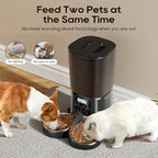 Automatic Cat Feeder,6L Timed Cat Dry Food Dispenser,Pet Feeder up to 6 Meals per Day,10S Voice Record,Flexible Schedule Timer,Auto Pet Feeder for Cats and Small Dogs (Black, 6L)