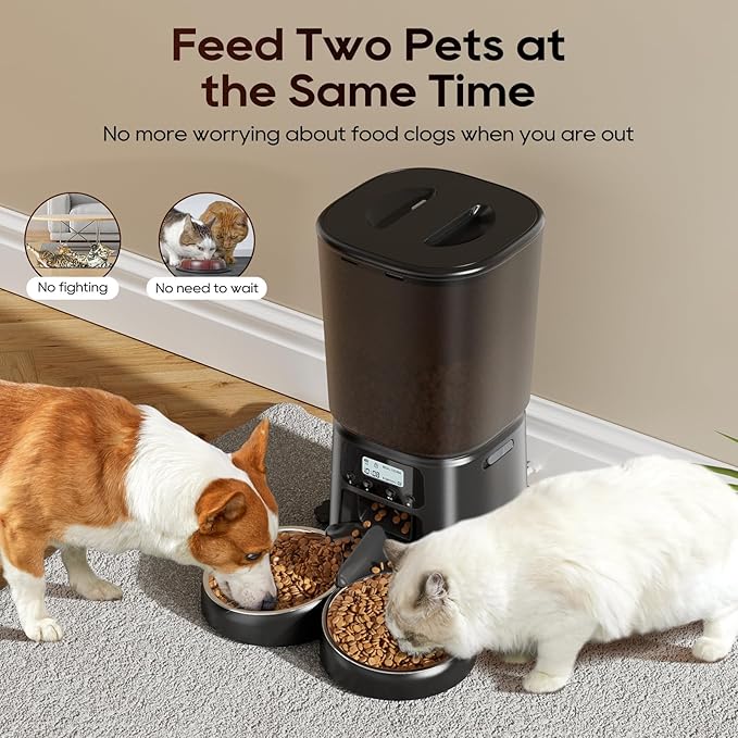 Automatic Cat Feeder,6L Timed Cat Dry Food Dispenser,Pet Feeder up to 6 Meals per Day,10S Voice Record,Flexible Schedule Timer,Auto Pet Feeder for Cats and Small Dogs (Black, 6L)
